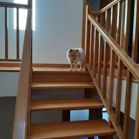 El Balcon De Rias Baixas 펜션 *