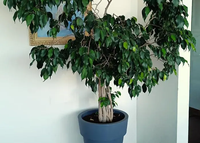 El Balcon De Rias Baixas Cangas do Morrazo