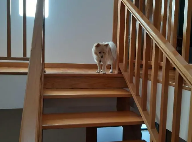 El Balcon De Rias Baixas Tatil Evi *